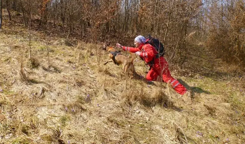 Tomislavgrad: Uspješno završena potraga za nestalim 78-godišnjakom