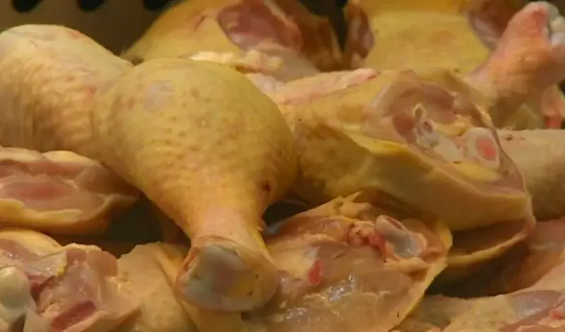 Piletina iz BiH vraćena s granice Hrvatske zbog salmonele