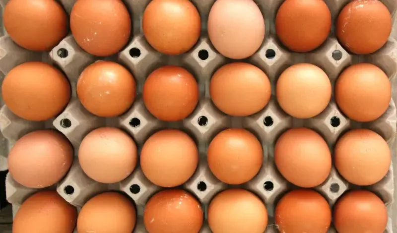 Smijete li jesti jaja kojima je istekao rok trajanja? Evo što kaže stručnjak