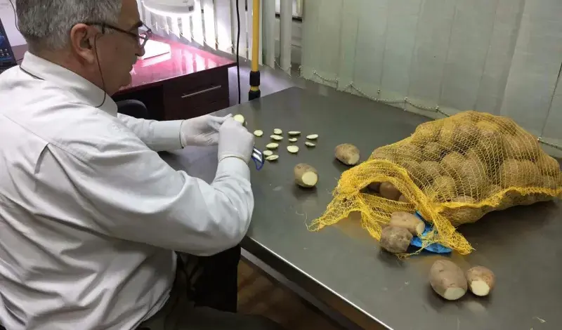 S ovim sastojkom možete poboljšati ukus kuhanog krompira