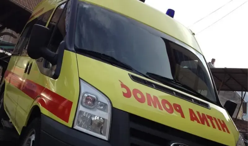Teška tragedija: motorkom rušio stablo u šumi i na mjestu poginuo