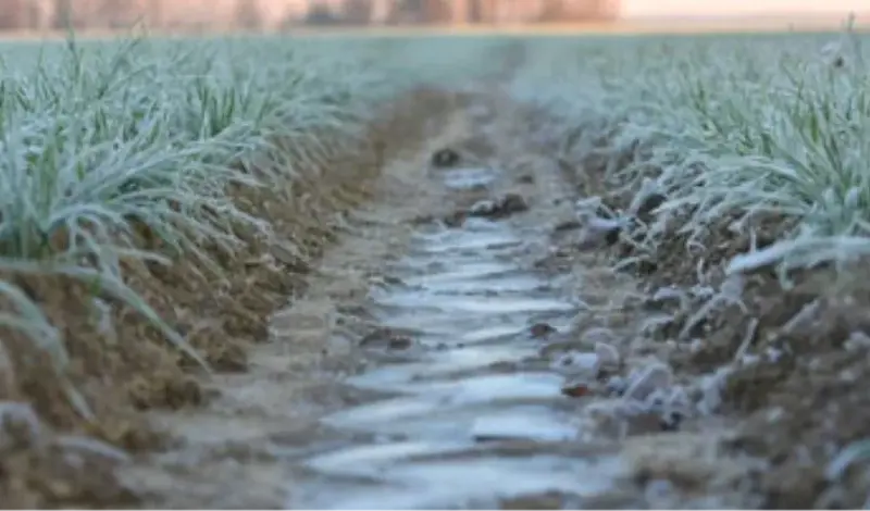 Severe Weather Europe: Stiže val hladnoće, temperature padaju i do 15 stupnjeva
