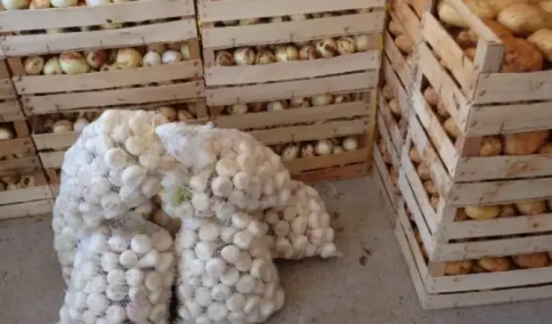 VIDEO Poljoprivrednici iz Ljubuškog pred kolapsom: ''Na +40 kopamo krumpir za 40 feninga''