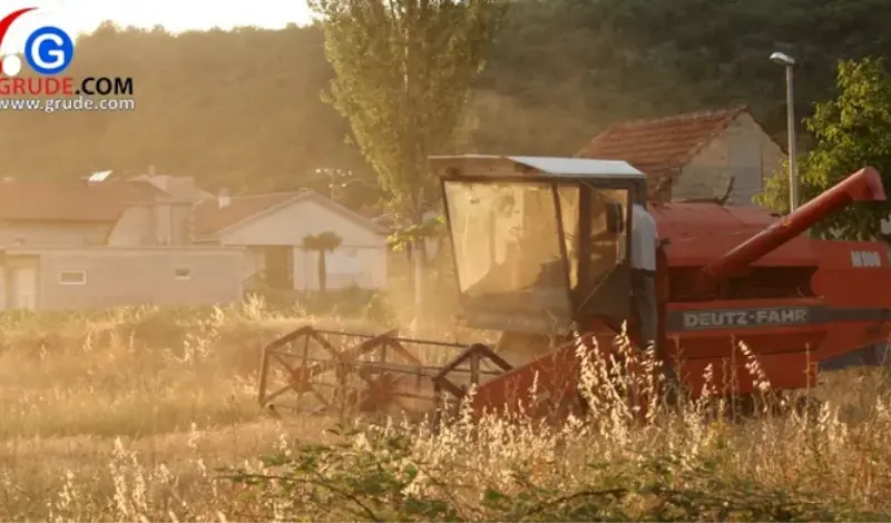 BiH žurno mora tražiti alternative, ovisna je o uvozu, i to najviše hrane
