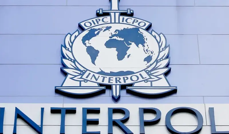 Interpolov alarm spriječio samoubijstvo djeteta u BiH