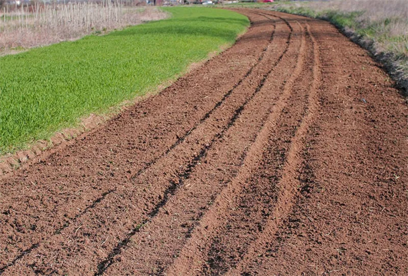 Poljoprivrednicima isplaćeno 42 milijuna KM