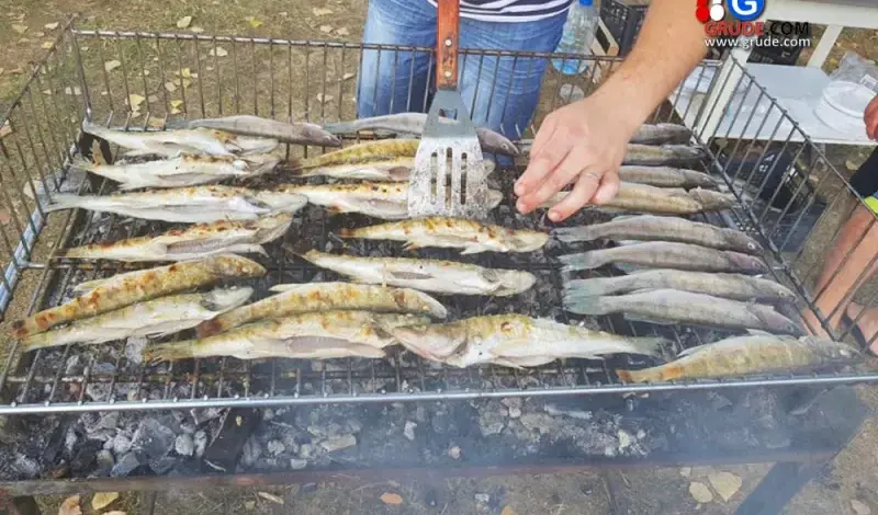 NAJAVA: Fišijada na jezeru Krenica