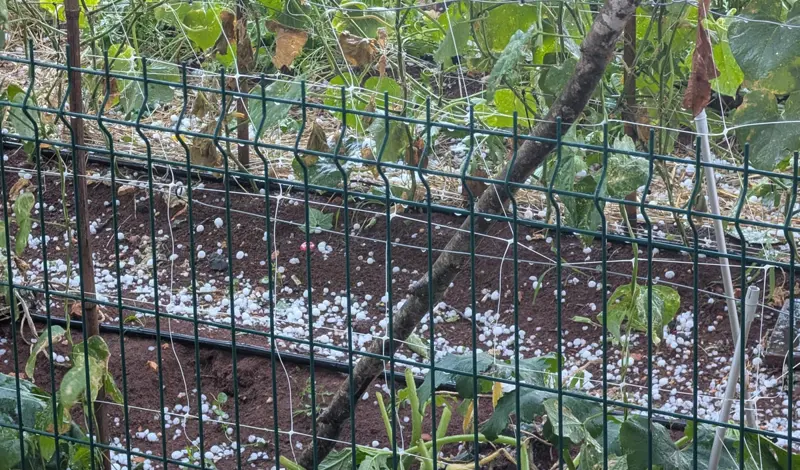 Tuča pogodila Grude FOTO
