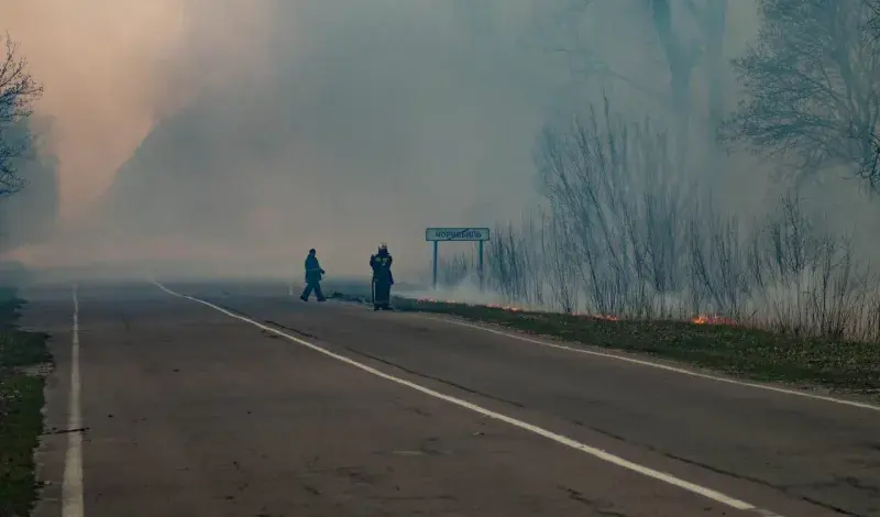 I crvi iz Černobila postali otporni na radijaciju!