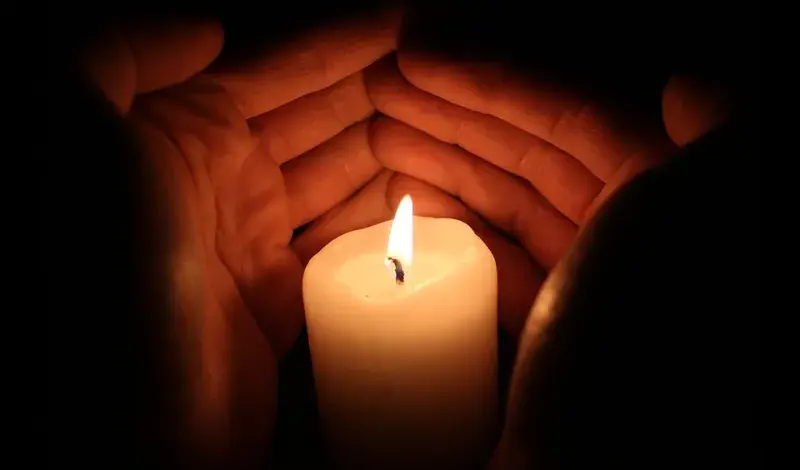 Tragedija: Stablo palo na dijete i usmrtilo ga