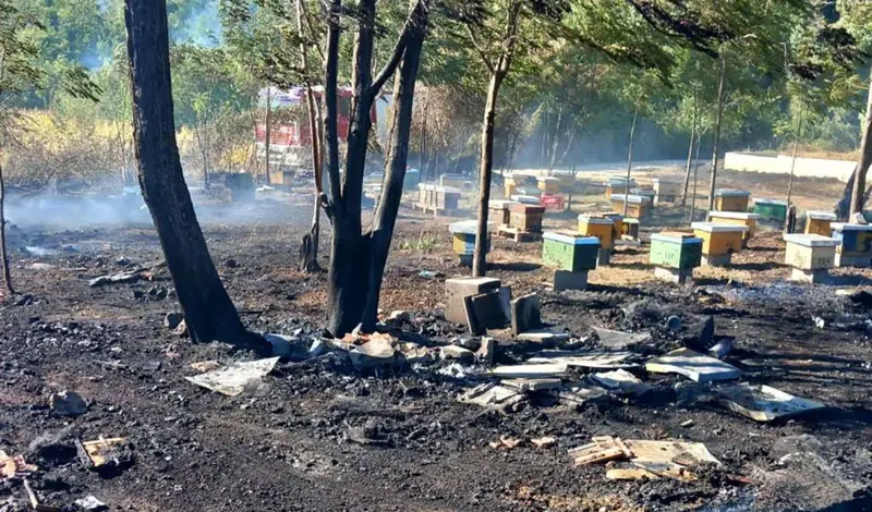Velika šteta kod Ljubuškog: Vatra pčelaru po drugi put uništila pčelinjak