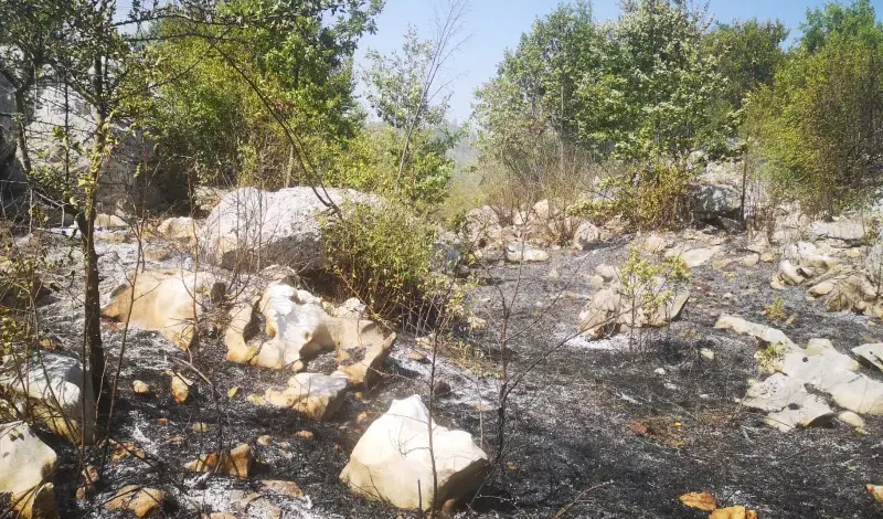 Nakon četiri dana borbe, požari u Dalmaciji stavljeni pod kontrolu