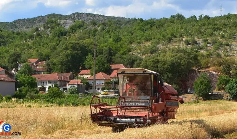 TKO NAS HRANI? Uvoz žitarica 15 puta veći od izvoza!
