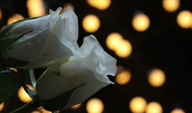 Nakon slijetanja u Lašvu, Lana (17) izgubila bitku za život