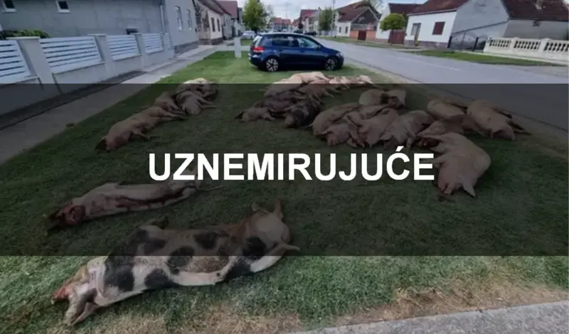Ministar poljoprivrede: Ne isključujem da se radi o specijalnom ratu protiv Hrvatske