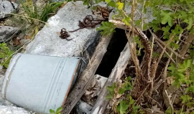 Najezda poskoka u Imotskom šokirala iskusnog ljubitelja prirode