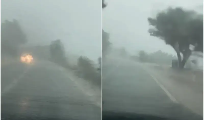 VIDEO: Nevrijeme u Dalmaciji, drvo se srušilo na crkvu! Vatrogasci: Ovo je dar mar