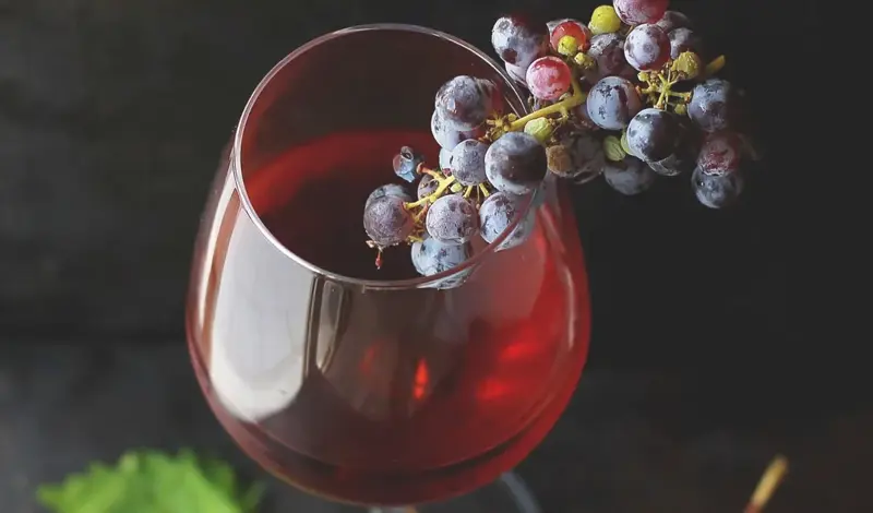 Sveti Martin pomagao je sirotinji, volio vino, nije htio biti biskup...