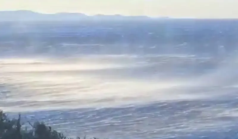 Olujna bura ruši stabla u Dalmaciji