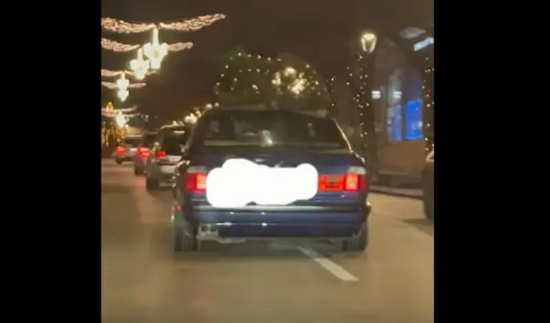 VIDEO: Okitili bor, stavili ga na krov automobila i provozali se kroz grad