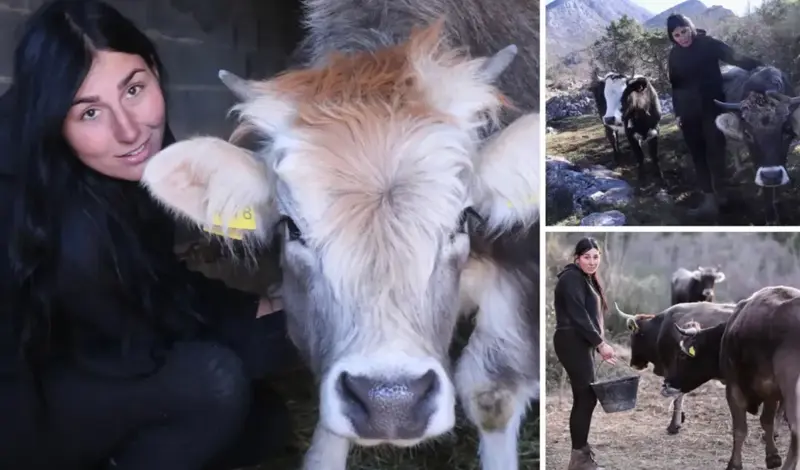 S Biokova odjekuje Antonijin glas! Mlada dama ima stado krava i ne bi se mijenjala ni za jedan dan života u gradu i u kafićima