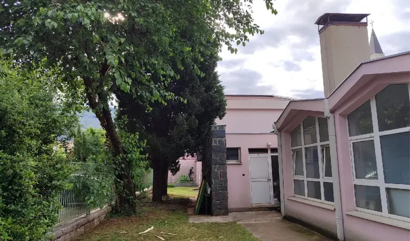 FOTO: Grom udario u drvo pored vrtića u Mostaru! Djeca, srećom, sve prespavala