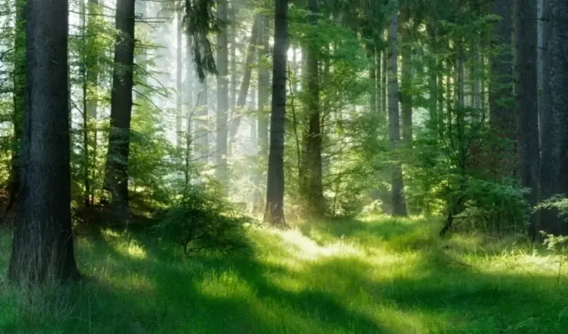 HŠ apelira na brigu svih u ponašanju u prirodi
