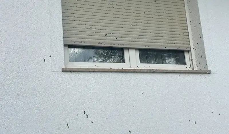 I ovo su posljedice nevremena u općini Grude: Fasada kao da su je geleri prošarali...