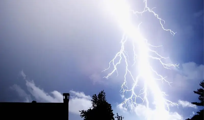 Brali maline pa ih udario grom! Preživjeli su