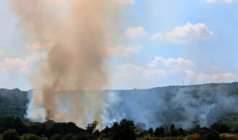 Gori grudsko polje, vatrogasci na terenu