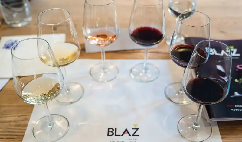 BLAŽ Enology – Eno-gastro zabavni performans, škola somelierstva, vinske radionice…FOTO