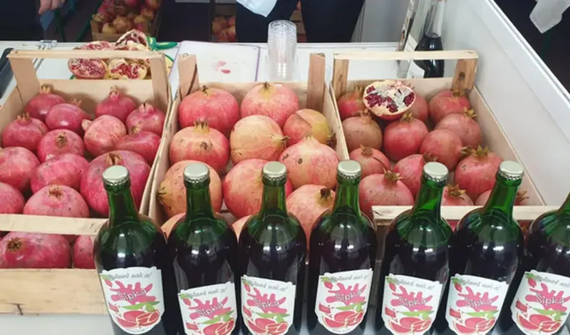 Hercegovački plodovi Mediterana – u Stolac stiže 100 izlagača