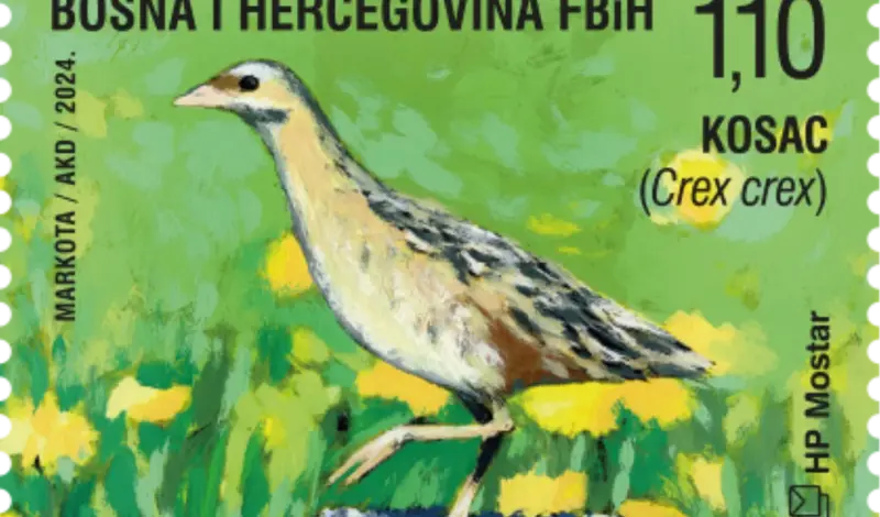 Flora i fauna na markama HP Mostar