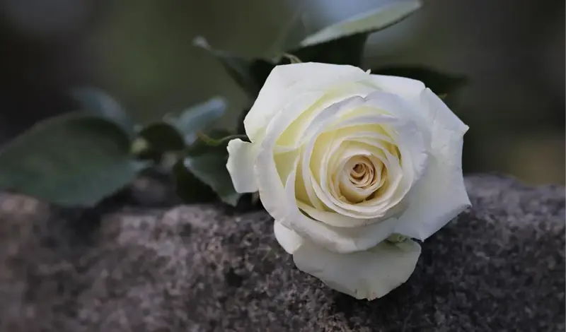 Nakon slijetanja u Lašvu, Lana (17) izgubila bitku za život