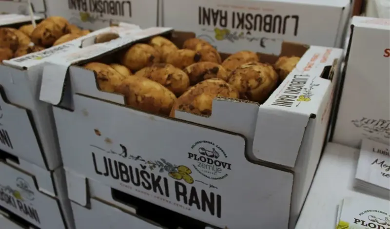 Krenula sadnja 'Ljubuškog ranog' krumpira