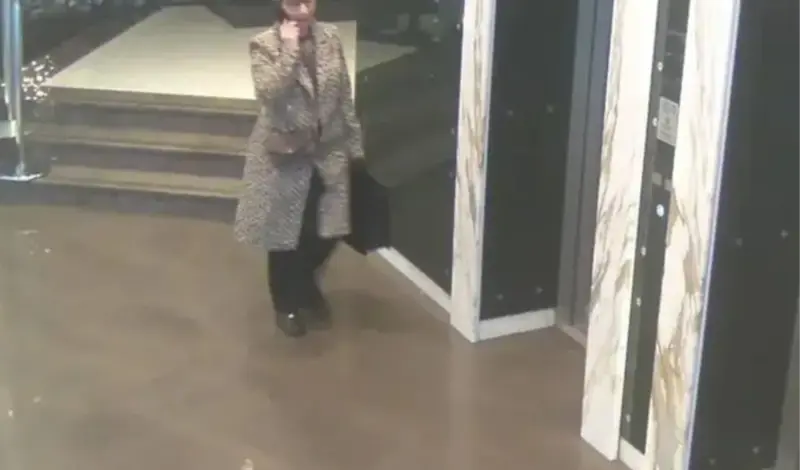 Policija objavila sliku žene koja je državljaninu BiH ukrala 200.000 €