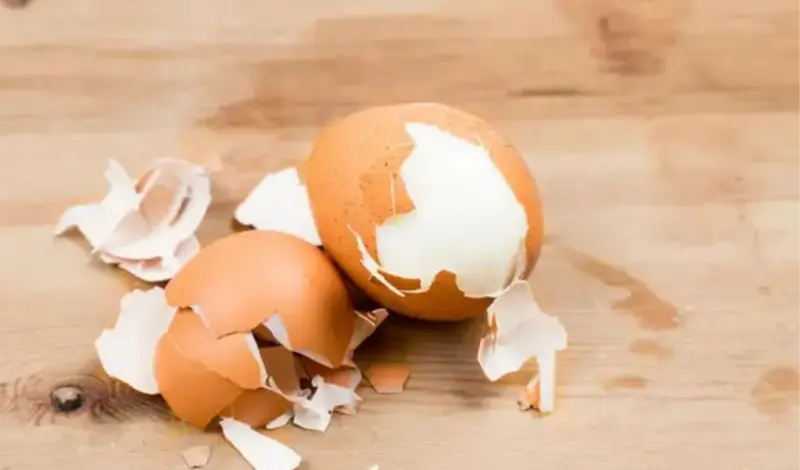 Nemojte bacati ljuske od jajeta! Evo kako ih možete iskoristiti u vrtu, kuhinji, kupaonici...