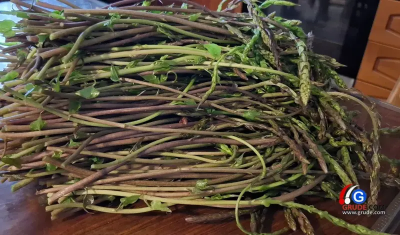Kuke i šparoge – iskoristite blago koje vam priroda nudi