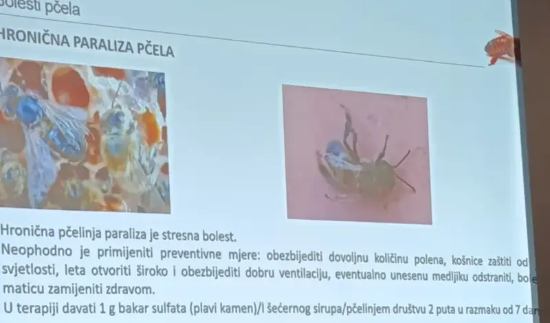 U Grudama održano stručno predavanje za pčelare FOTO