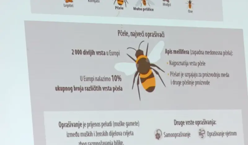 U Grudama održano stručno predavanje za pčelare FOTO