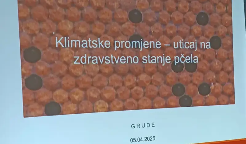 U Grudama održano stručno predavanje za pčelare FOTO