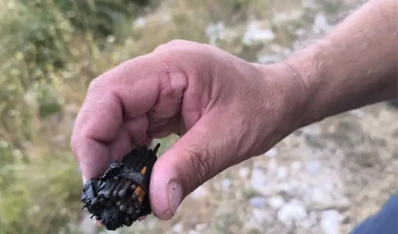 Novi požar kod Makarske! Potraga za vozačem quada! Pronađen dokaz o podmetnutim požarima!?