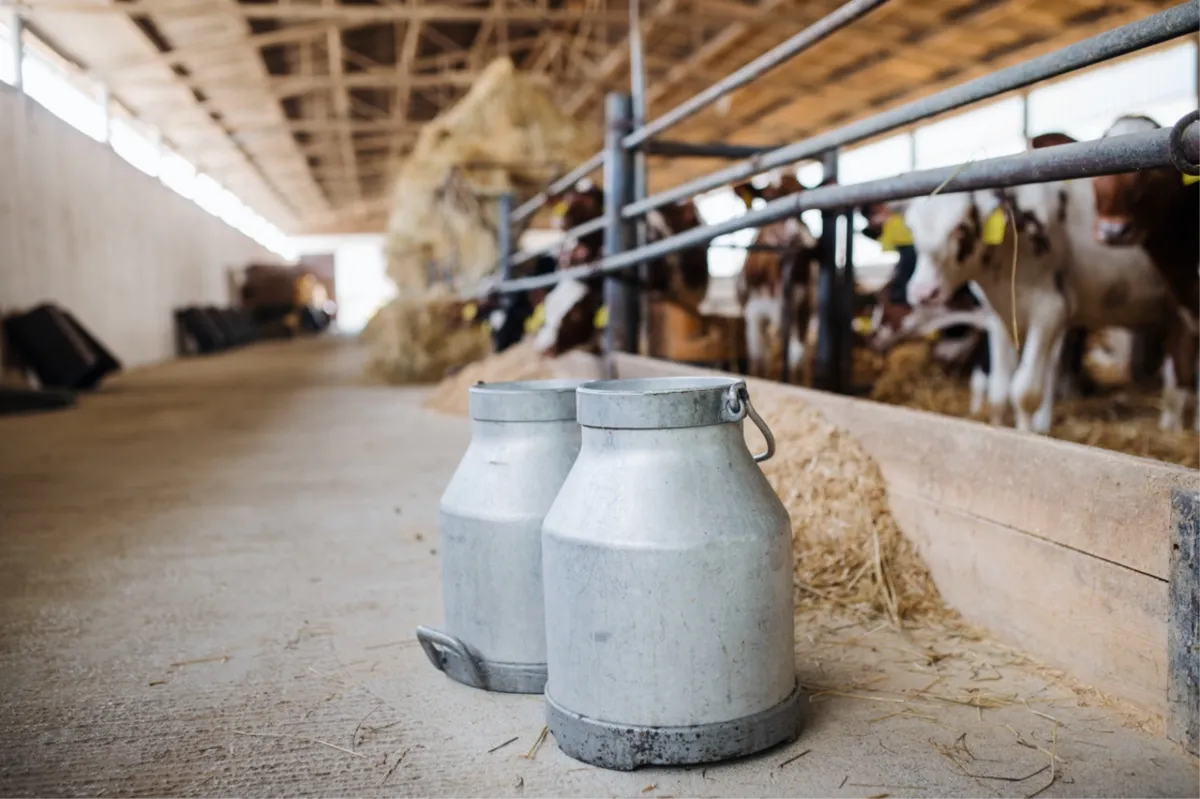 FARMERI OČAJNI Morali smo proliti stotine litara mlijeka, već danima nitko nije očistio ceste od snijega