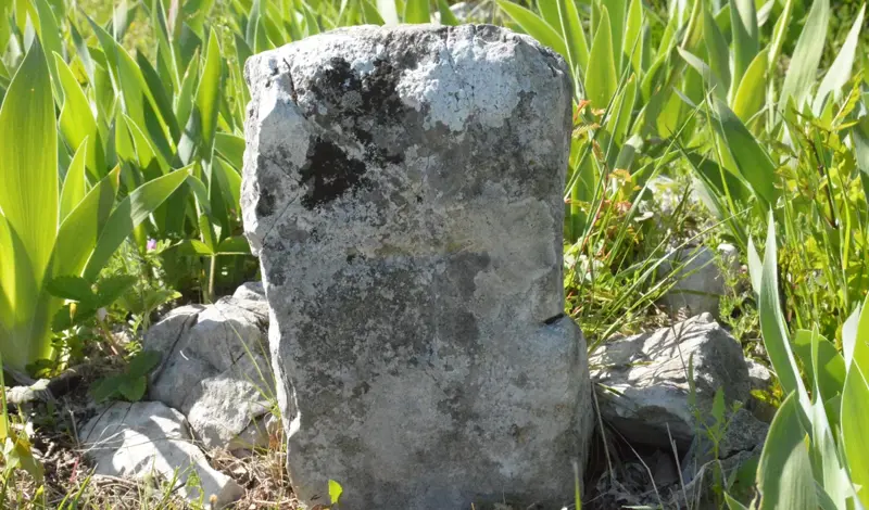 Mještani Medovića obnovili staro Svatovsko groblje, evo što se tu dogodilo FOTO