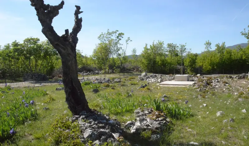 Mještani Medovića obnovili staro Svatovsko groblje, evo što se tu dogodilo FOTO