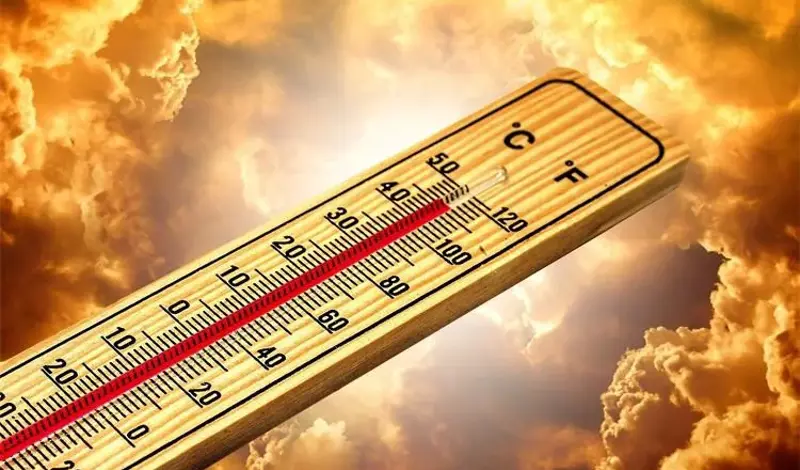 WHO upozorava: Novi toplinski val stiže u Europu, temperature će ponovno rasti