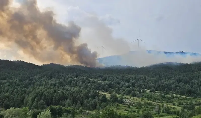 Posušje: Šumski požar gase hercegovački vatrogasci i Air Tractor
