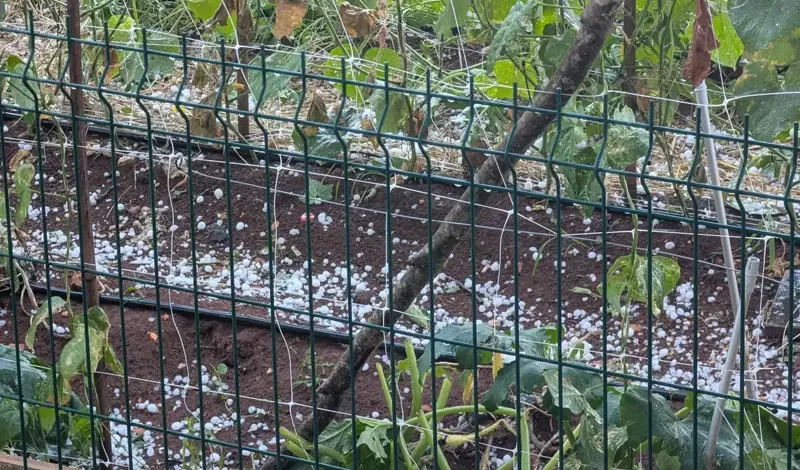 Tuča pogodila Grude FOTO