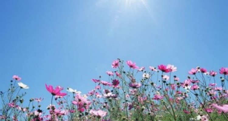 Evo kakvo nas vrijeme čeka za vikend