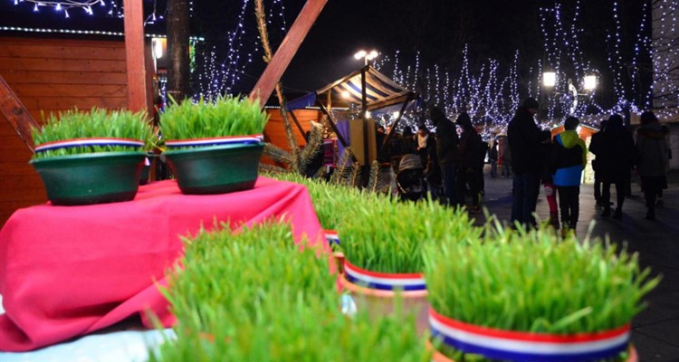 Jeste li posijali božićnu pšenicu? Danas vjernici štuju svetu Luciju